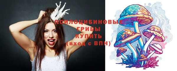 кокаин колумбия Богданович