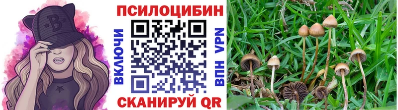 Галлюциногенные грибы мицелий  как найти закладки  Ялта 